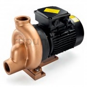 Насос без префильтра Pahlen Bronze 1.1 кВт, в СПА